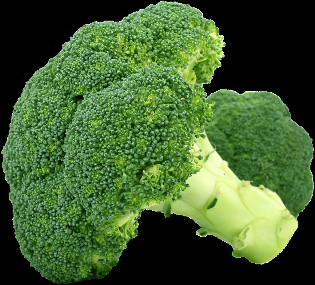broccoli stored upright with stem in water inside refrigerator