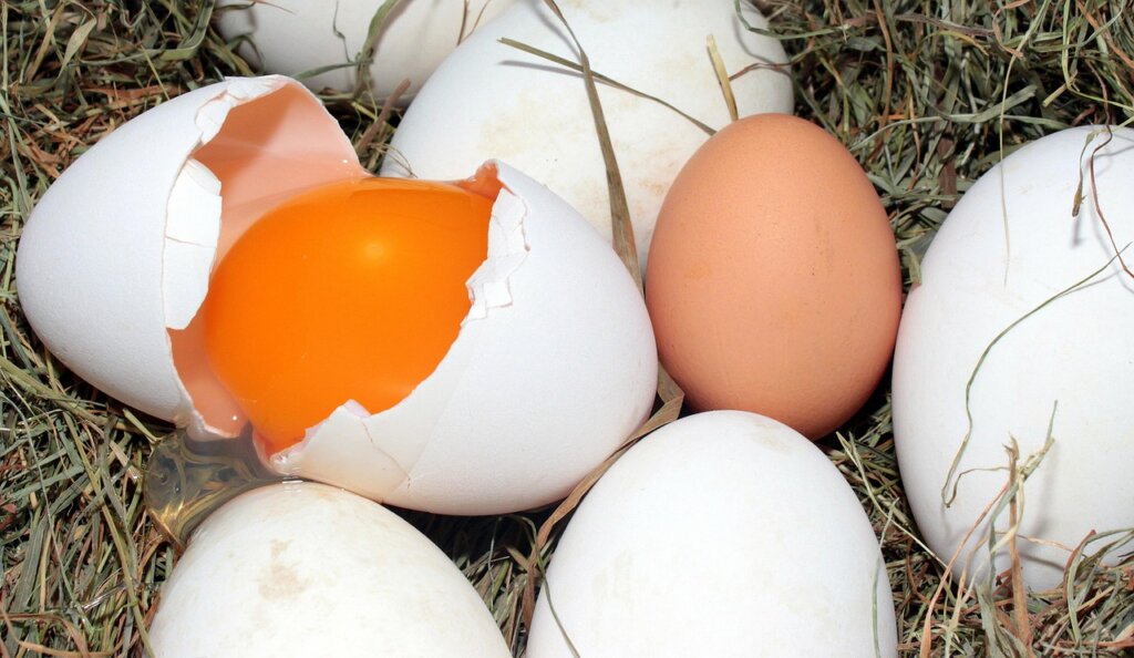 egg floating test comparison fresh vs old