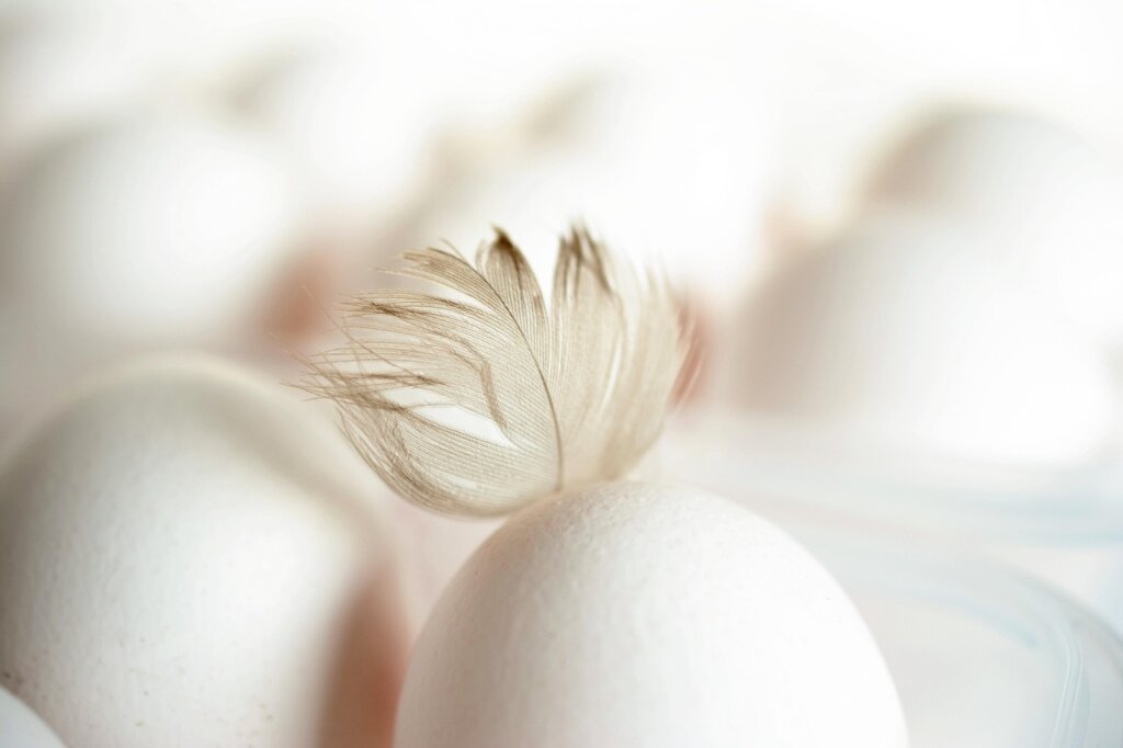 egg shell with production date stamp close-up