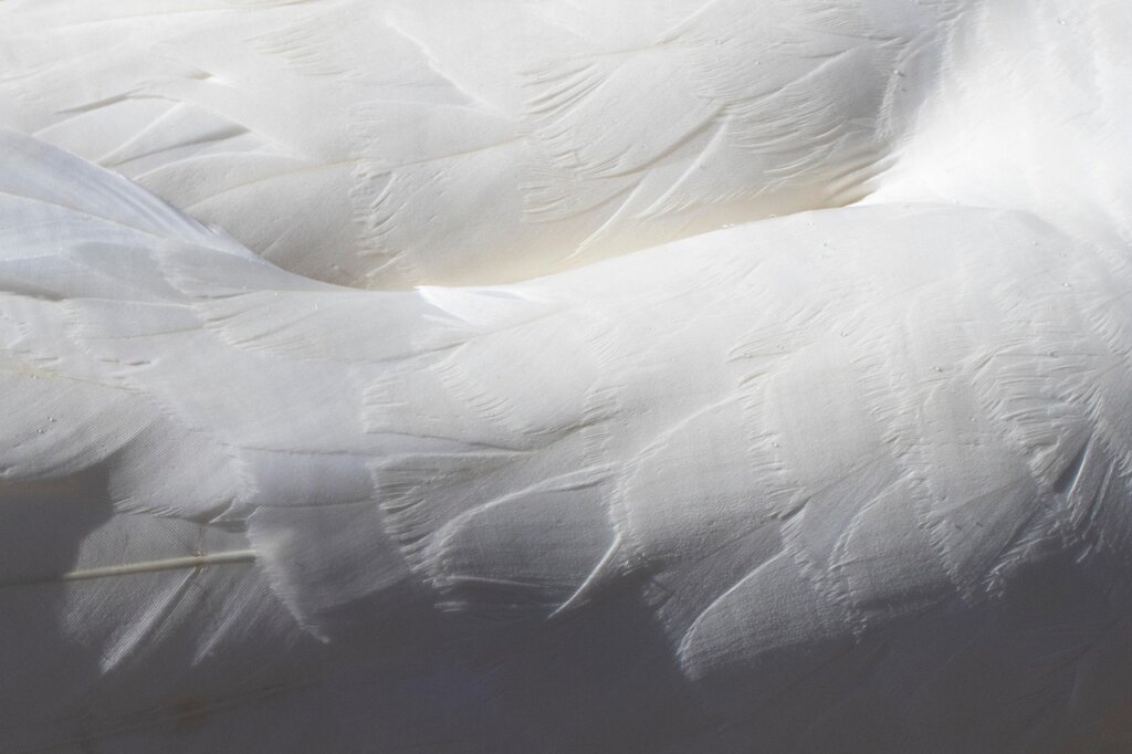 sweat stains on white mattress surface closeup