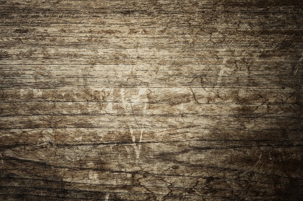 four natural desiccant materials coarse salt charcoal baking soda newspaper arranged on wooden table