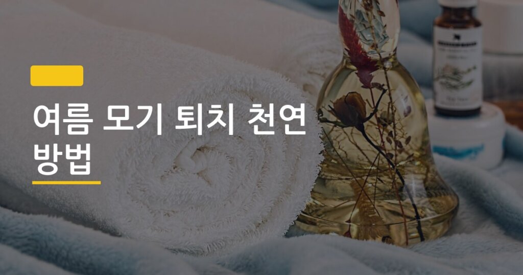 여름 모기 퇴치 천연 방법, 효과 검증된 것만 골라 쓰는 5가지 루틴