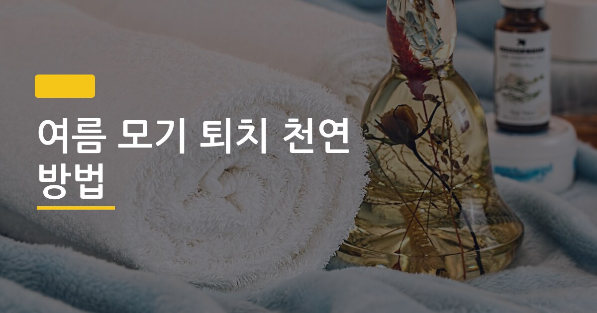 여름 모기 퇴치 천연 방법, 효과 검증된 것만 골라 쓰는 5가지 루틴