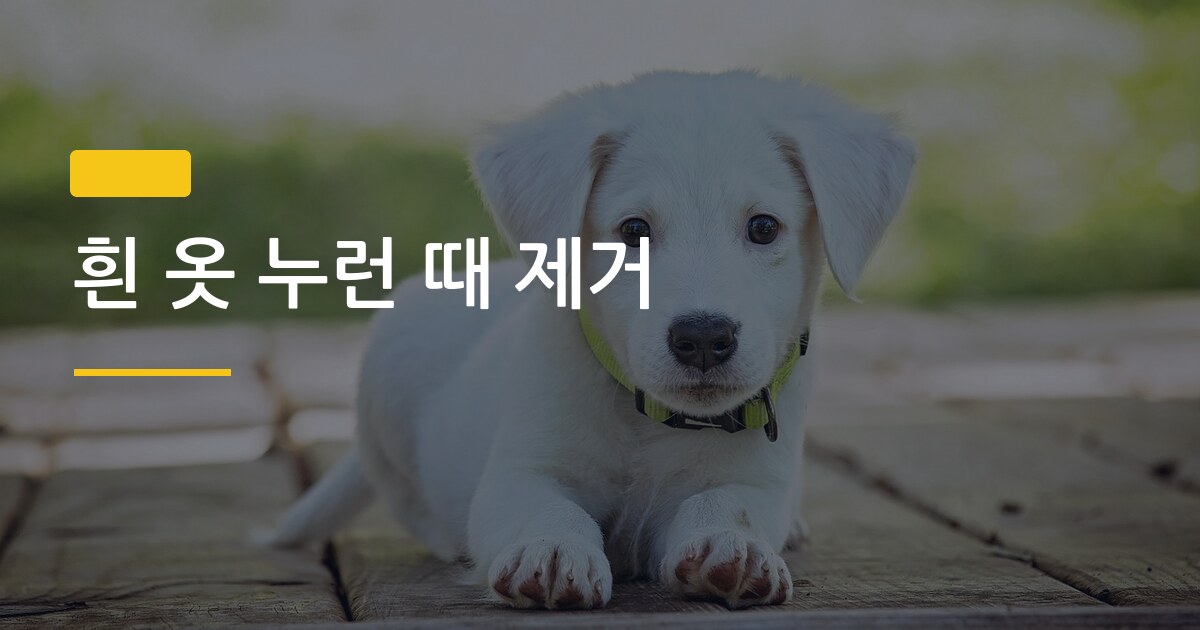 흰 옷 누런 때 제거, 삶지 않아도 말끔히 없애는 5가지 방법