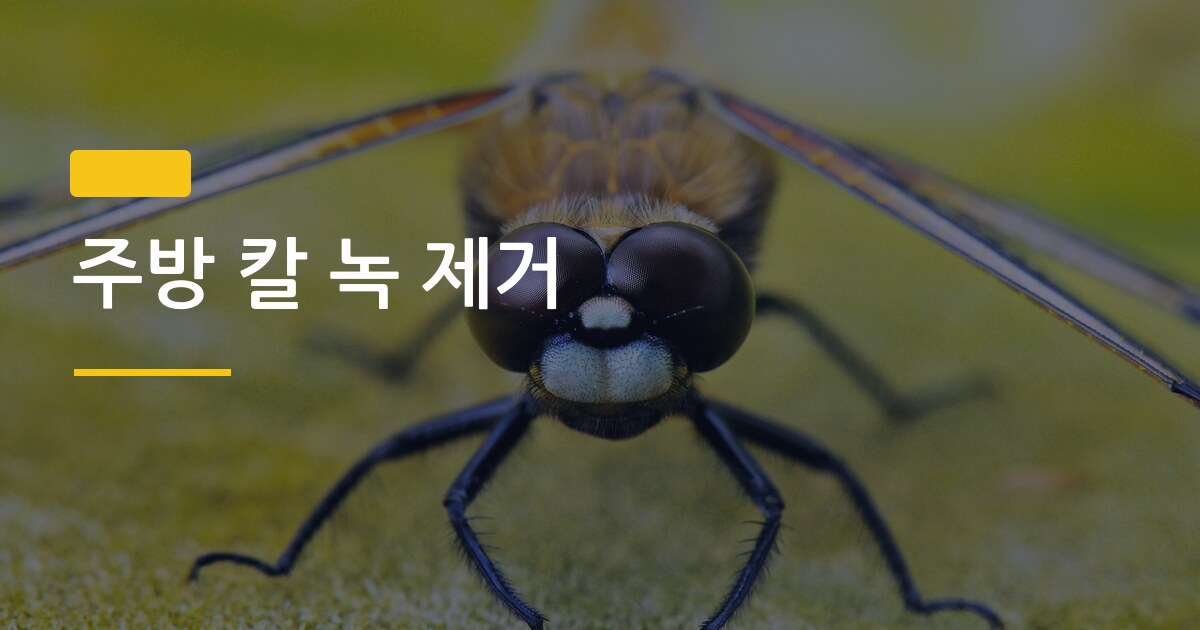 주방 칼 녹 제거, 집에서 바로 되는 3가지 방법과 오래 쓰는 관리법