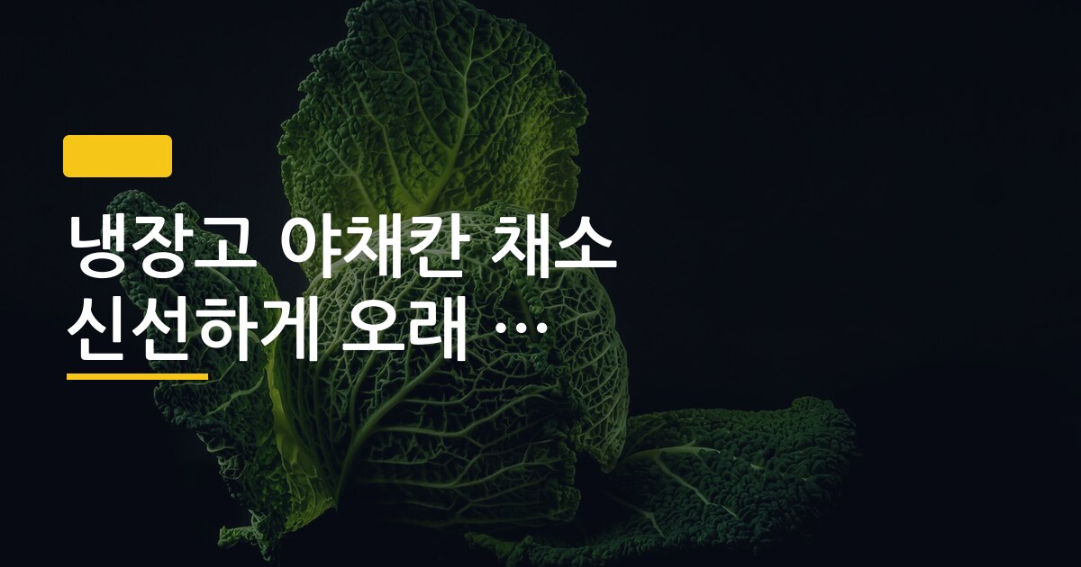 냉장고 야채칸 채소 신선하게 오래 보관하는 방법, 이렇게 했더니 2주가 지나도 안 시들었다