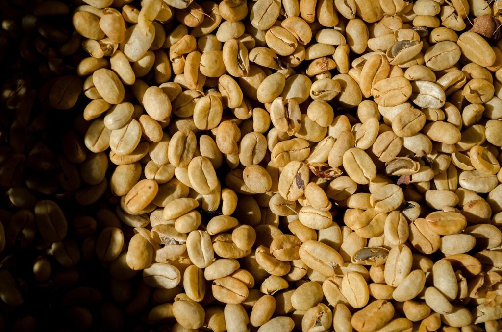 coffee beans stored incorrectly next to food items in refrigerator, cold blue tones