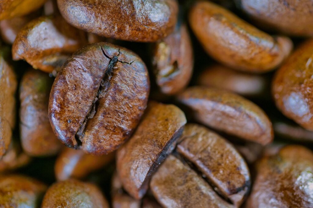 roasted coffee beans in opaque airtight container on kitchen counter