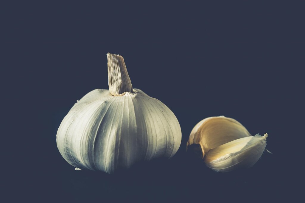 garlic cloves showing signs of spoilage with dark spots and green sprouts