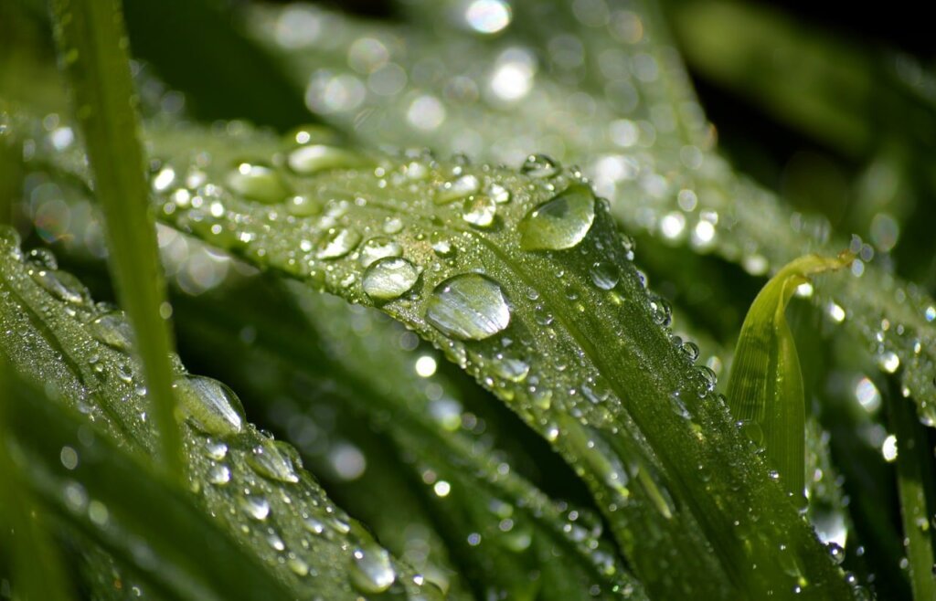 close-up of wet laundry fibers with moisture droplets