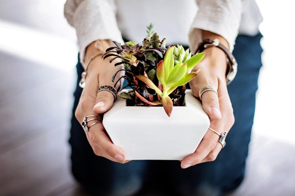overwatered plant pot with soggy dark soil indoors