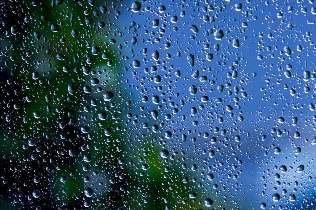 dusty window screen close-up