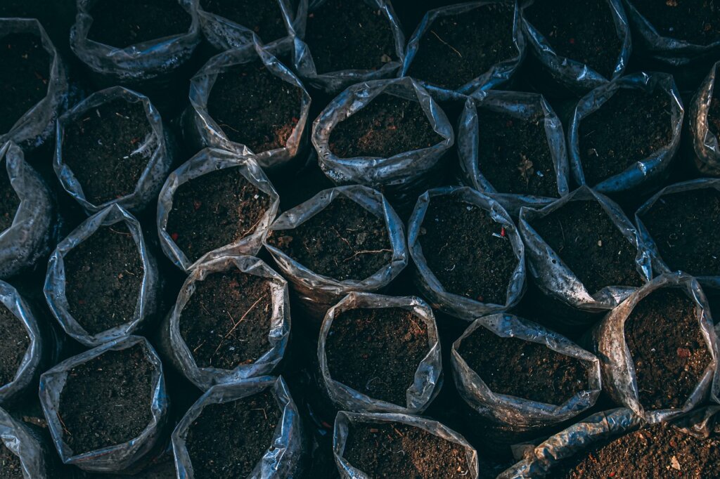 dried coffee grounds inside plastic container for odor absorption