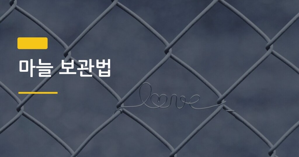 마늘 보관법, 냉동 냉장 실온 중 진짜 오래가는 방법은 따로 있다