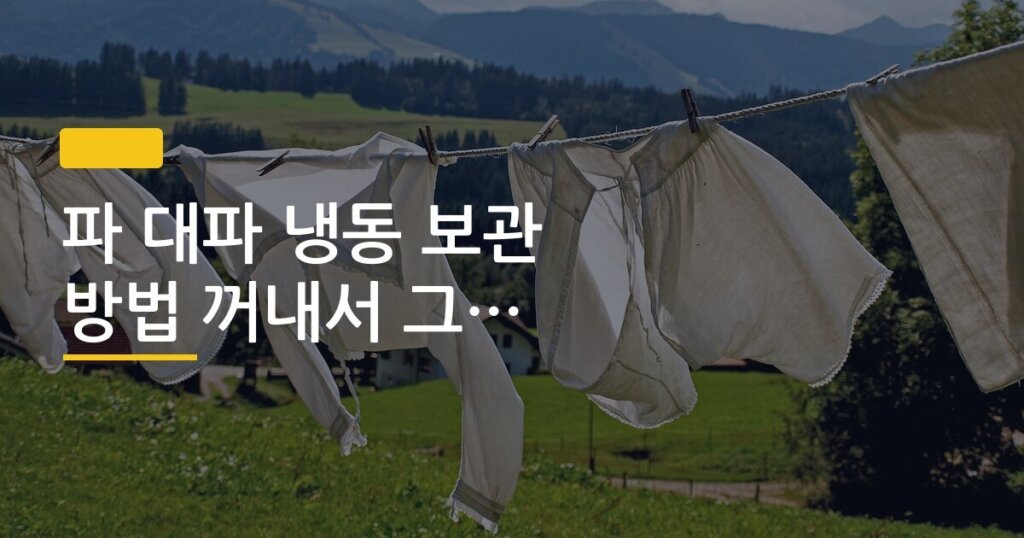 파 대파 냉동 보관 방법 꺼내서 그냥 써도 되나요
