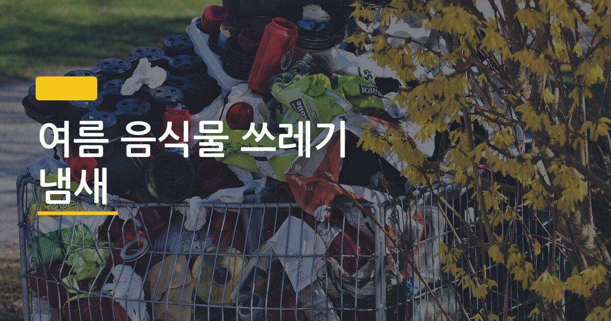 여름 음식물 쓰레기 냄새, 신혼집 악취 잡는 현실적인 5가지 방법
