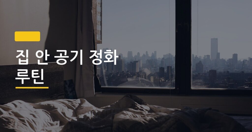 집 안 공기 정화 루틴, 미세먼지 심한 날 간호사가 직접 쓰는 5단계 방법