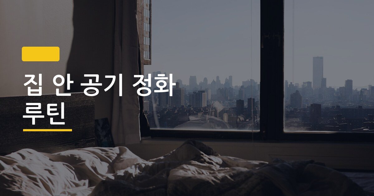 집 안 공기 정화 루틴, 미세먼지 심한 날 간호사가 직접 쓰는 5단계 방법
