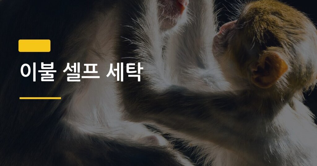 이불 셀프 세탁, 세탁기 없이 집에서 대형 빨래 완벽하게 끝내는 5단계