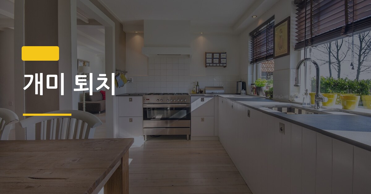 개미 퇴치, 음식물 없어도 나오는 진짜 이유와 집에서 되는 해결법 5가지
