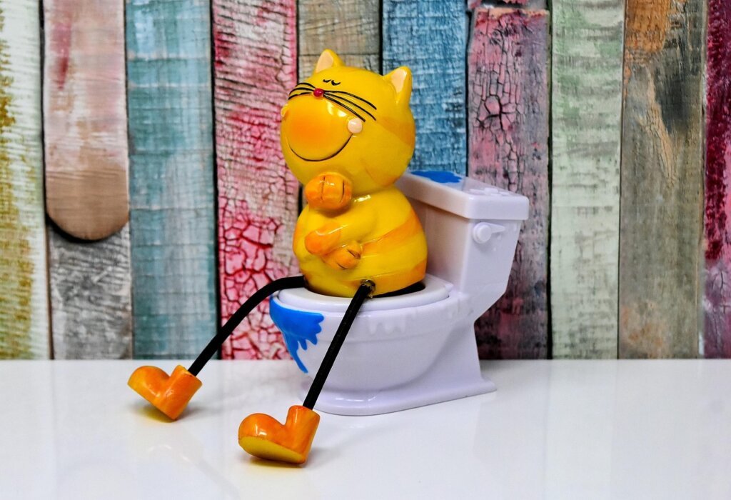 comparison of yellow vs black toilet bowl stains