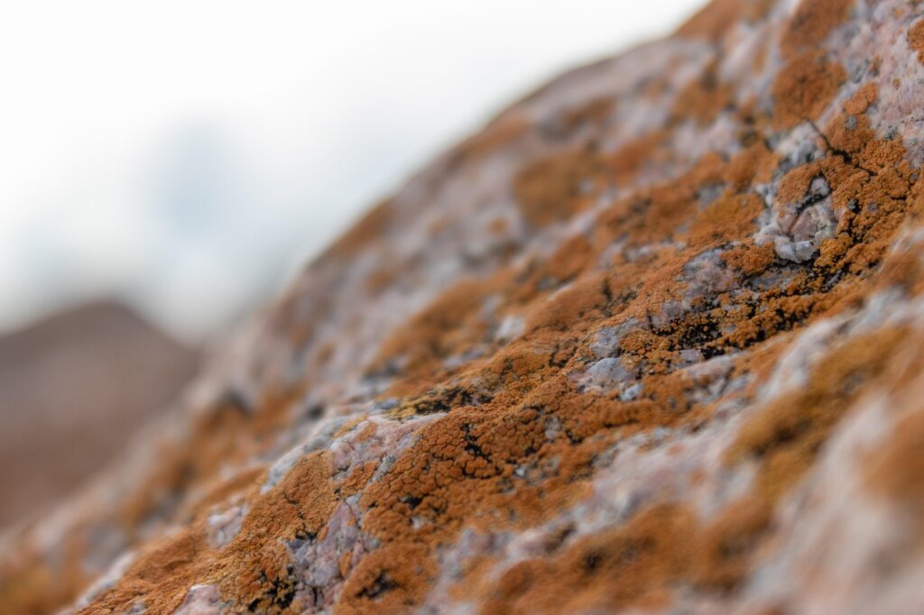 yellow mineral deposits on white bathtub surface close-up