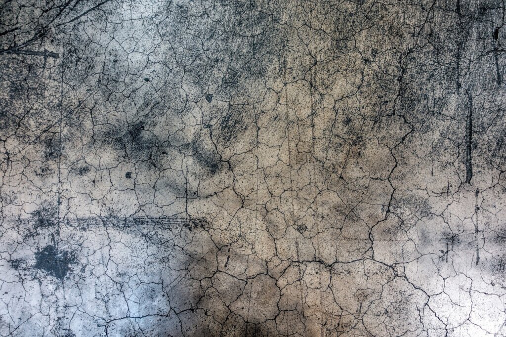 damaged washing machine rubber seal with cracks and mold stains