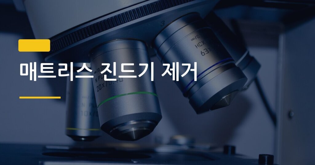 매트리스 진드기 제거, 청소기만으로는 부족한 이유와 셀프 완전 박멸법