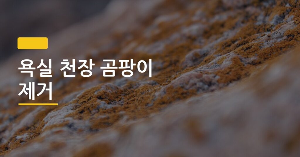 욕실 천장 곰팡이 제거, 스프레이 락스 하나로 싹 없앤 찐 후기