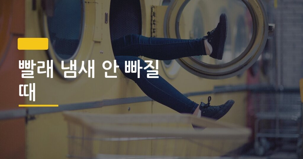 빨래 냄새 안 빠질 때, 세탁기 탓인지 내 탓인지 오늘 확실히 따져보자