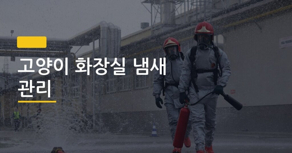 고양이 화장실 냄새 관리, 매일 5분으로 냄새 제로 만드는 청소 루틴