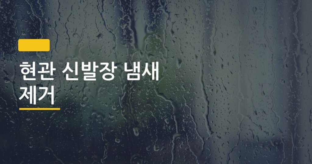 현관 신발장 냄새 제거, 탈취제 없이 집에 있는 것만으로 하루 만에 잡는 법