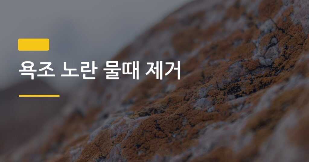 욕조 노란 물때 제거, 구연산 vs 베이킹소다 어떤 게 진짜 효과 있을까