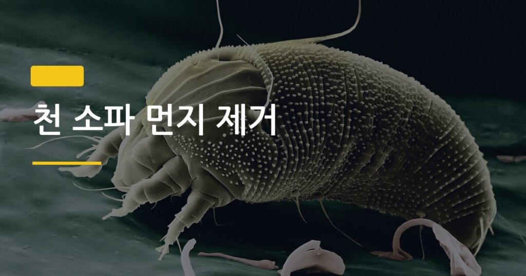 천 소파 먼지 제거, 스팀 청소기 진짜 효과 있는지 써봤습니다