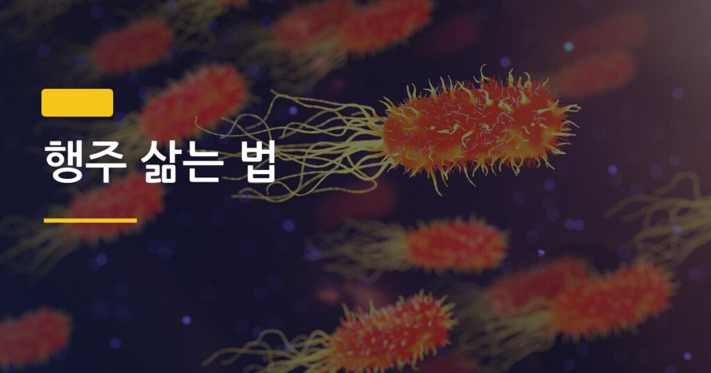 행주 삶는 법, 냄새 그냥 두면 생기는 문제 3가지와 해결 루틴