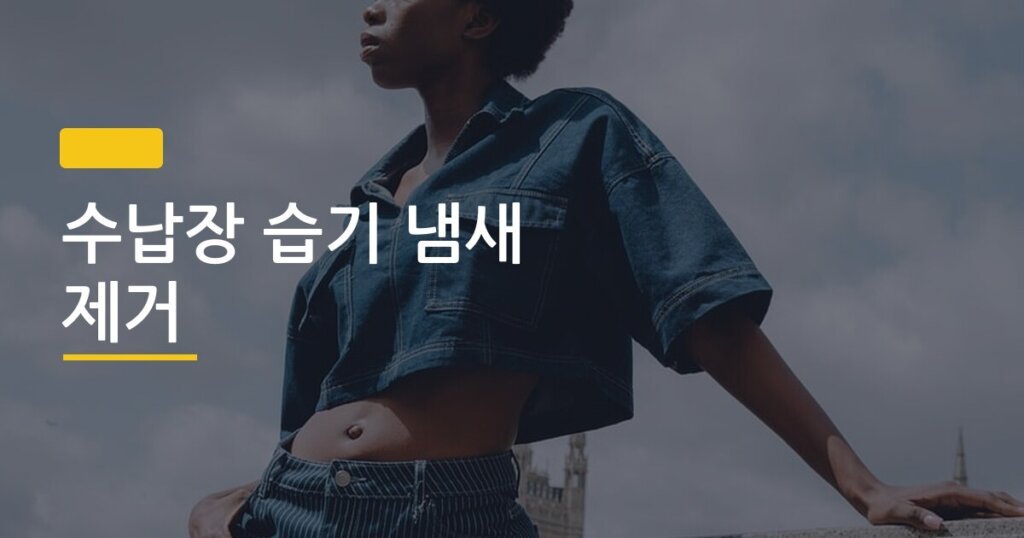 수납장 습기 냄새 제거, 출장 다녀오면 왜 더 심해질까 &mdash; 동시에 잡는 5가지 방법