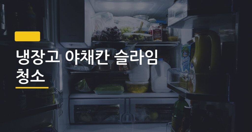 냉장고 야채칸 슬라임 청소, 방치 3주 만에 이렇게 될 줄 몰랐습니다